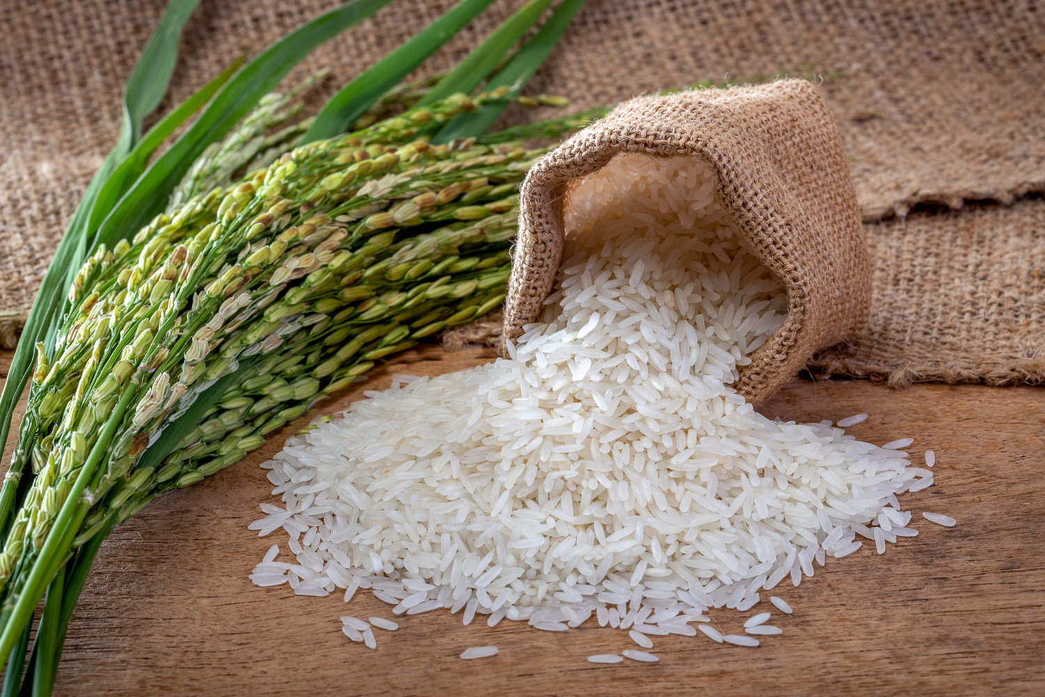 Premium Rice