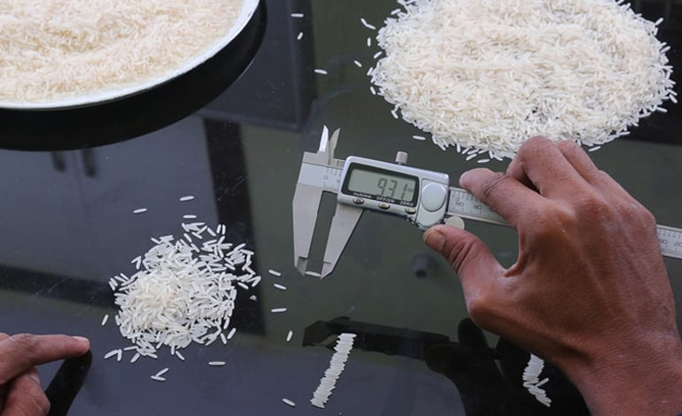 Quality Control Laboratory